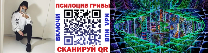 mega ССЫЛКА  даркнет сайт  мориарти состав  Галлюциногенные грибы Magic Shrooms  Мытищи 